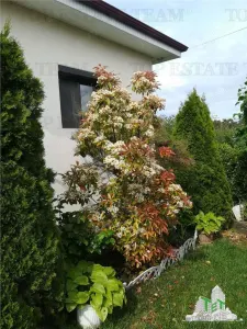 4-Bedroom Detached House in Corbu, Constanța – Serene Beachside Living - foto 2