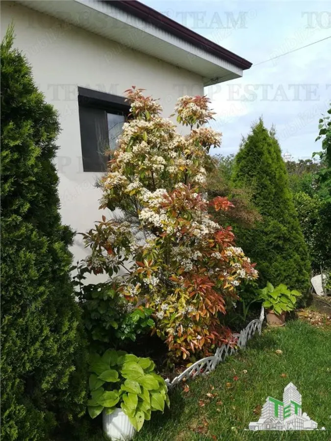 4-Bedroom Detached House in Corbu, Constanța – Serene Beachside Living - foto 2