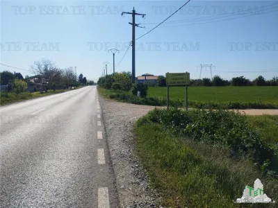 Terrain à Bâtir – Frumusani, Calarasi – 40.500 m² - Frumusani