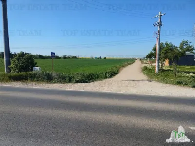 Land for sale 40500 sqm in Calarasi - Frumusani - foto 2