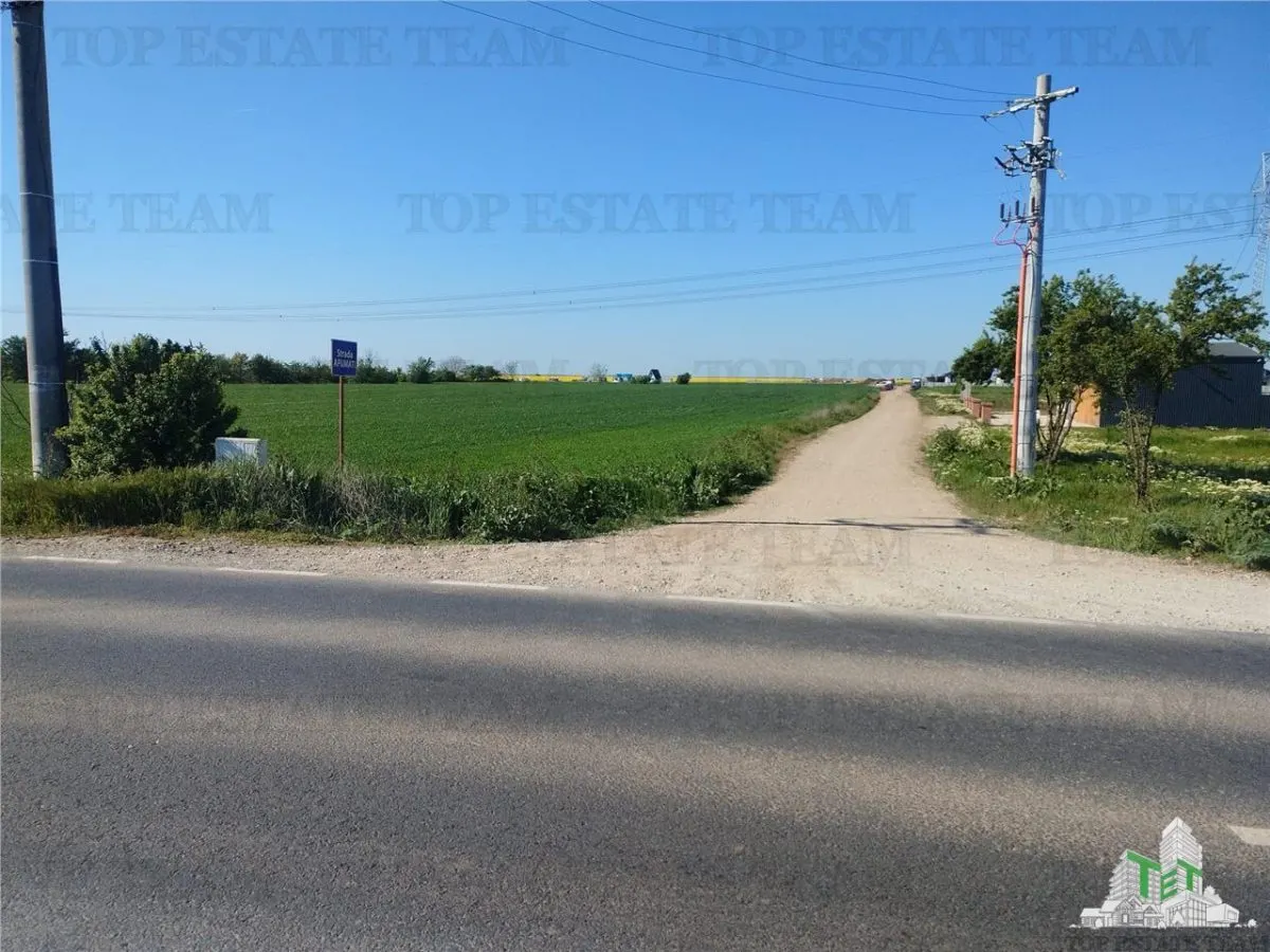 Land for sale 40500 sqm in Calarasi - Frumusani - foto 2