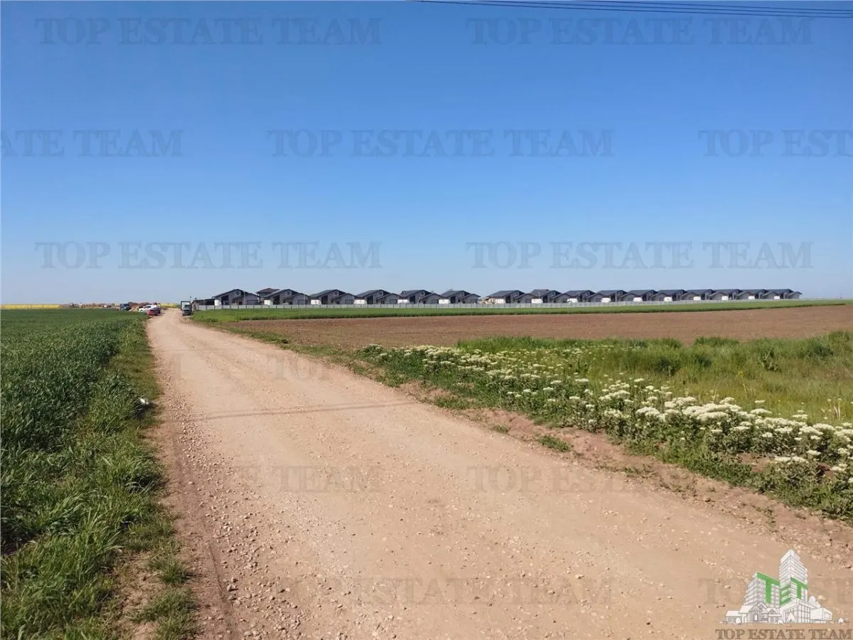 Land for sale 40500 sqm in Calarasi - Frumusani - foto 3