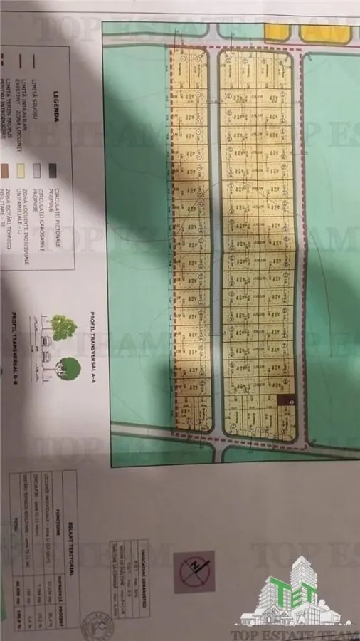 Land for sale 40500 sqm in Calarasi - Frumusani - foto 4