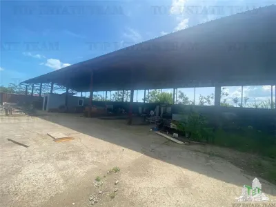 纳沃达里工业厂房，康斯坦察 - foto 8