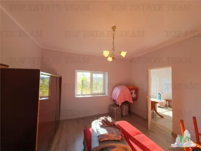 Two Renovated Houses with Bathrooms, Orchard and Vineyard – Pantelimon - foto 3