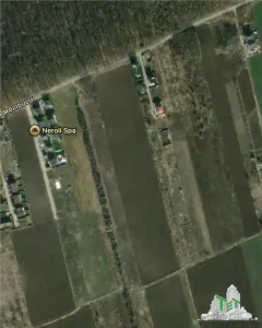 Building Plot for Sale Near Forest | Tamasi, Corbeanca | 1,170 sqm - Tamasi
