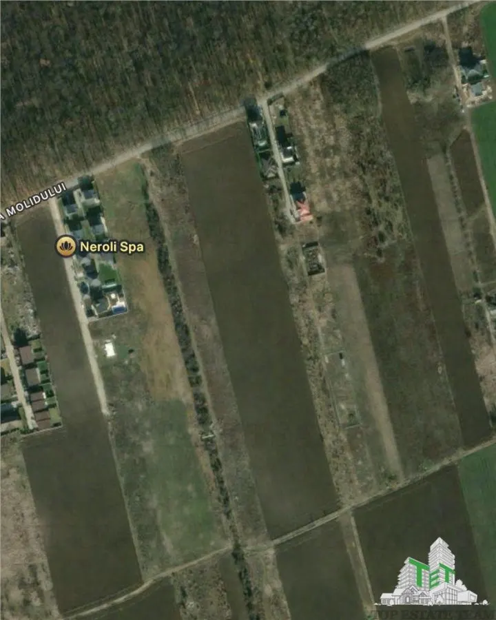 Building Plot for Sale Near Forest | Tamasi, Corbeanca | 1,170 sqm - foto 1