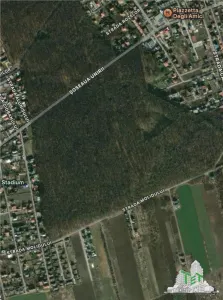 Building Plot for Sale Near Forest | Tamasi, Corbeanca | 1,170 sqm - foto 2