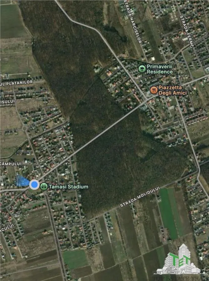 Building Plot for Sale Near Forest | Tamasi, Corbeanca | 1,170 sqm - foto 3