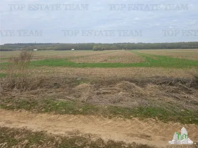 Terrain de 7.500 m² en lisière de forêt à Dragomiresti-Deal - foto 3