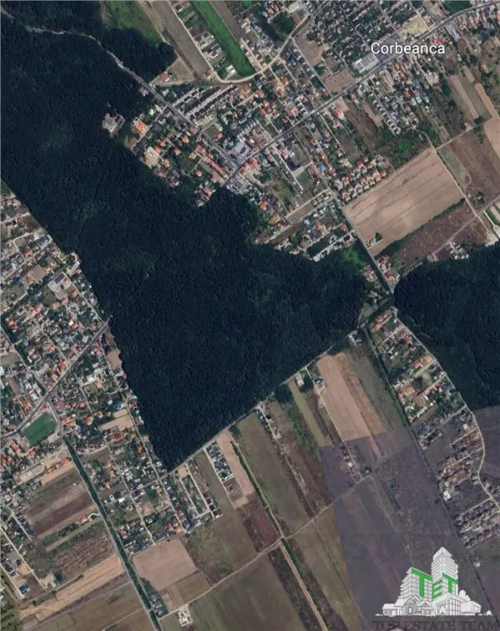 Building Land for Sale in Corbeanca – Forest Adjacent | 7 Plots Available 541–645 sqm - foto 2