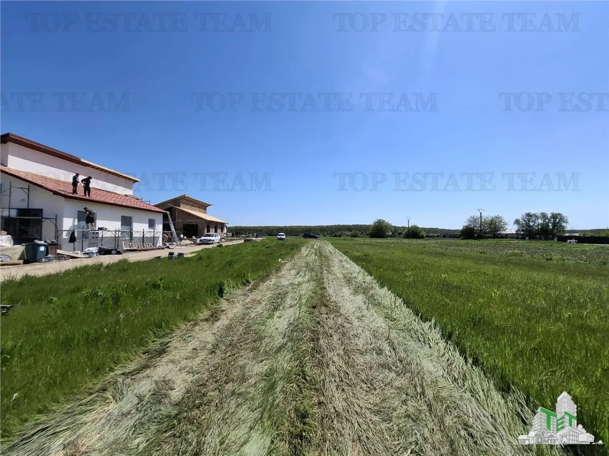 Premium Villas for Sale Snagov / The Four Residences - foto 6