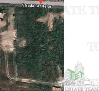 5,600 sqm Development Land in Pantelimon, Constanta – Prime Investment - Pantelimon