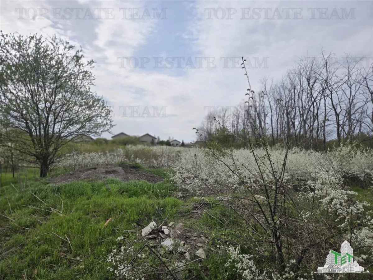 Development Land 20 Minutes from Bucuresti - foto 1