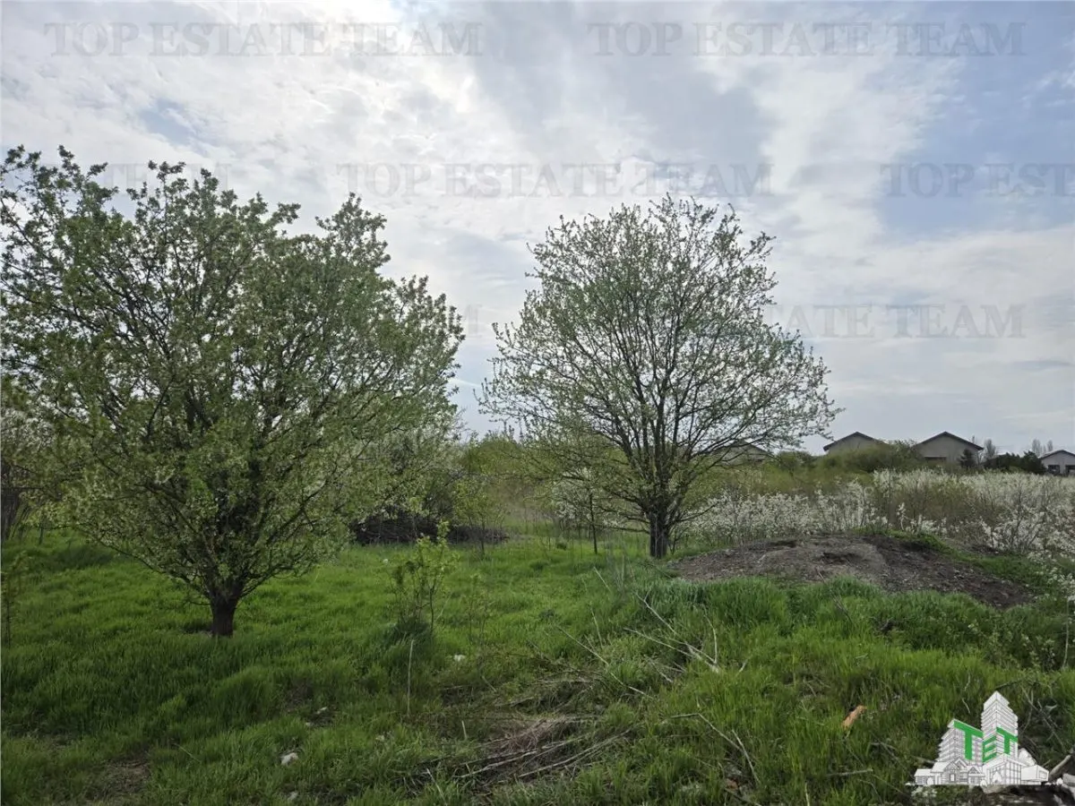 Development Land 20 Minutes from Bucuresti - foto 2