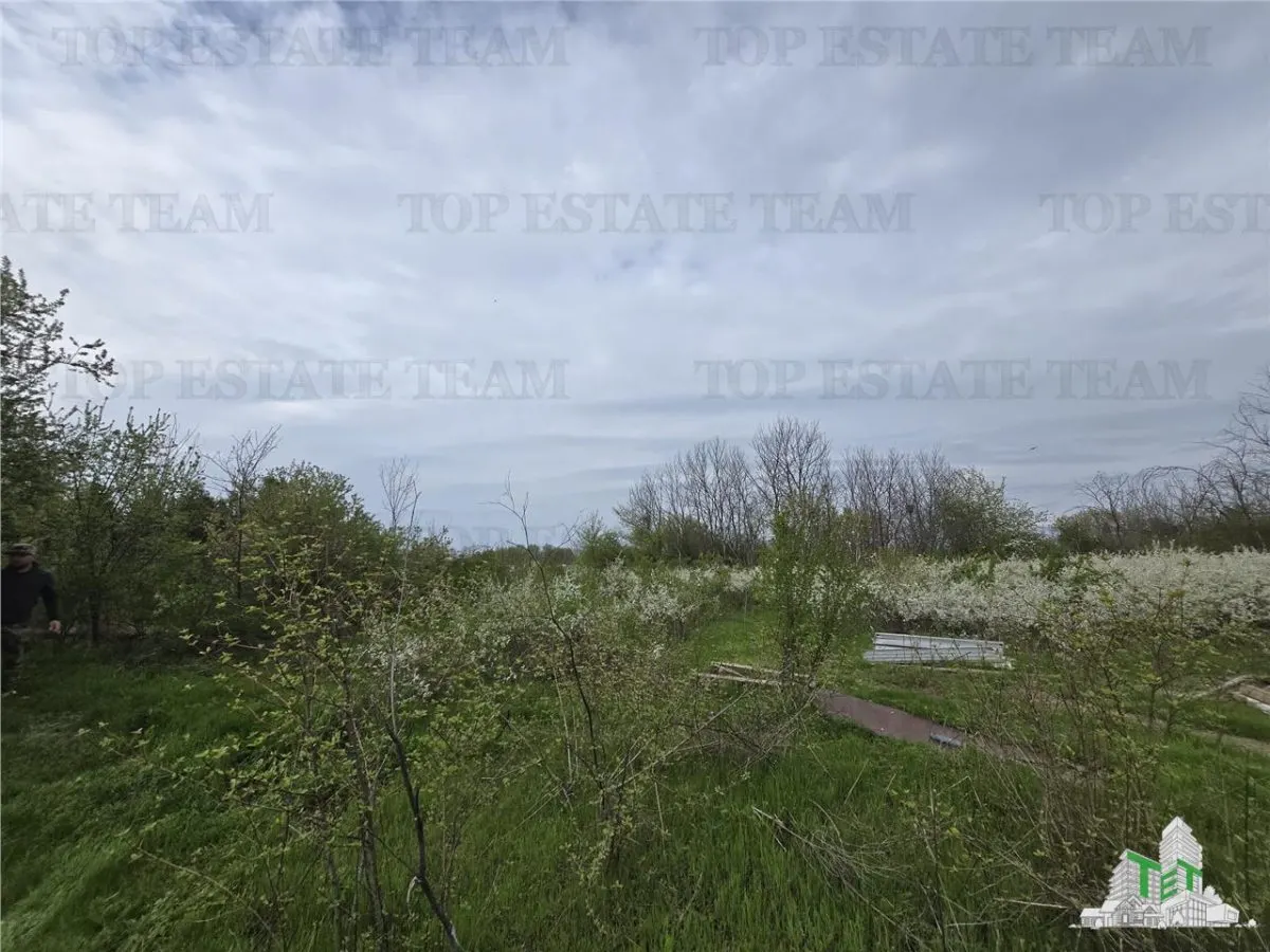 Development Land 20 Minutes from Bucuresti - foto 3