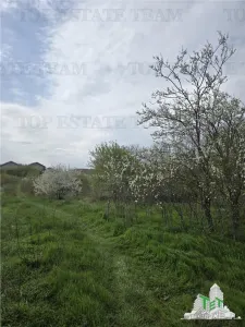 Development Land 20 Minutes from Bucuresti - foto 5