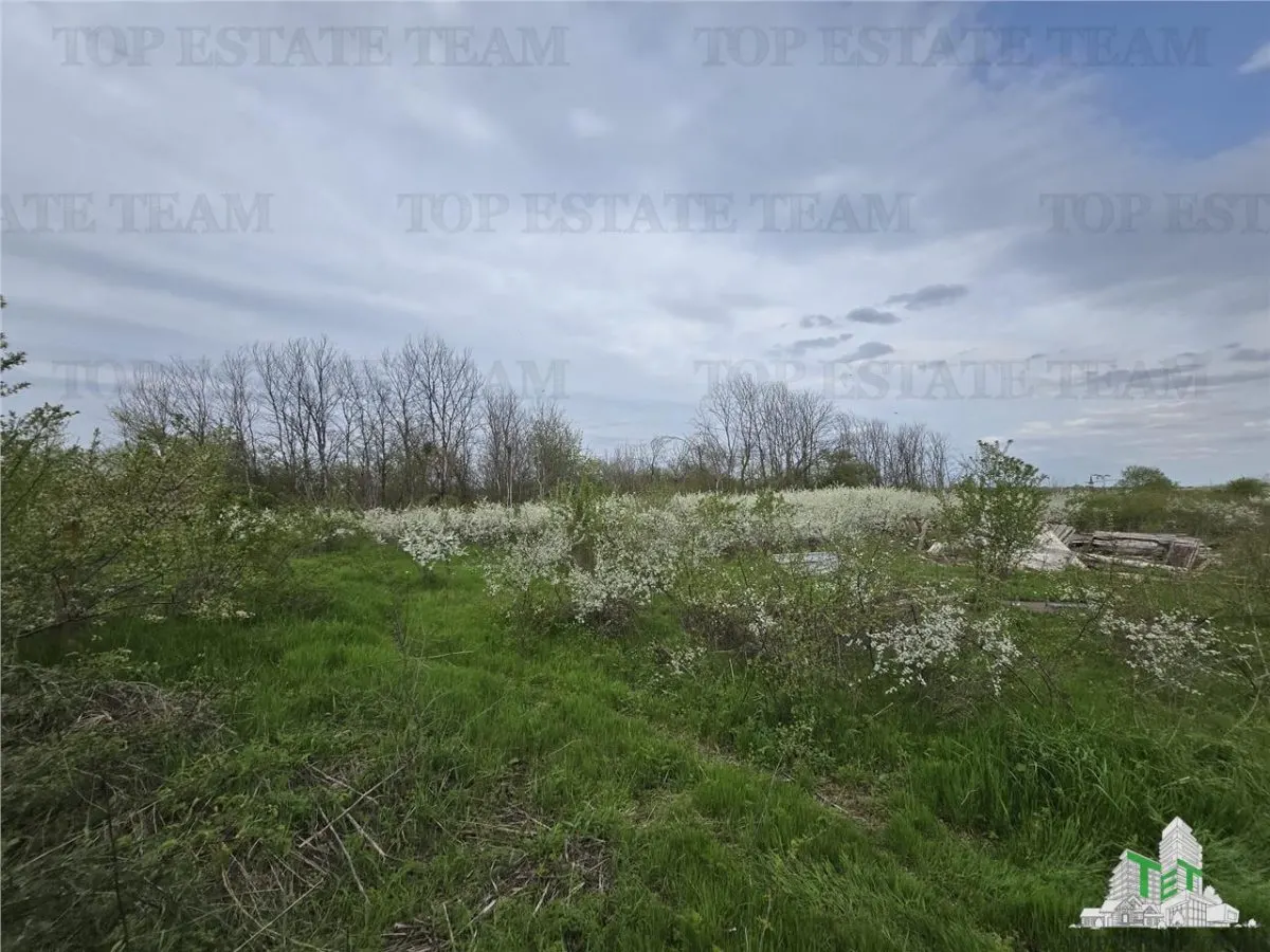 Development Land 20 Minutes from Bucuresti - foto 6