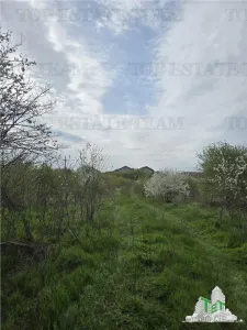 Development Land 20 Minutes from Bucuresti - foto 7