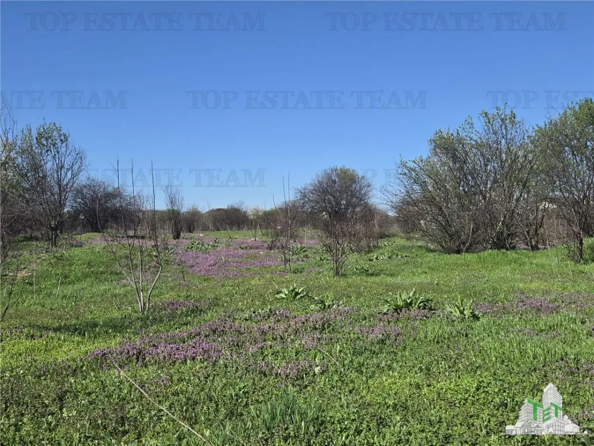 Development Land 8,500 sqm Pacii, Militari, Bucharest - foto 11