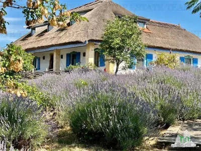 Resort Delta Dunarii | 21 Rooms | 18 Accommodation Units | Near Black Sea - foto 14