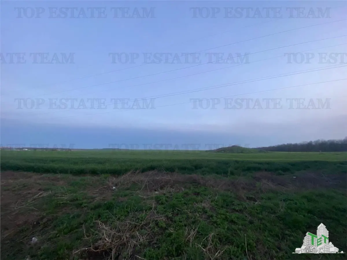Residential Land Plot 15,000 sqm, Costinesti, Constanta - foto 4
