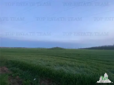 Residential Land Plot 15,000 sqm, Costinesti, Constanta - foto 7