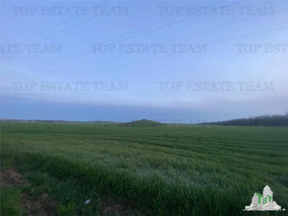 Residential Land Plot 15,000 sqm, Costinesti, Constanta - foto 7