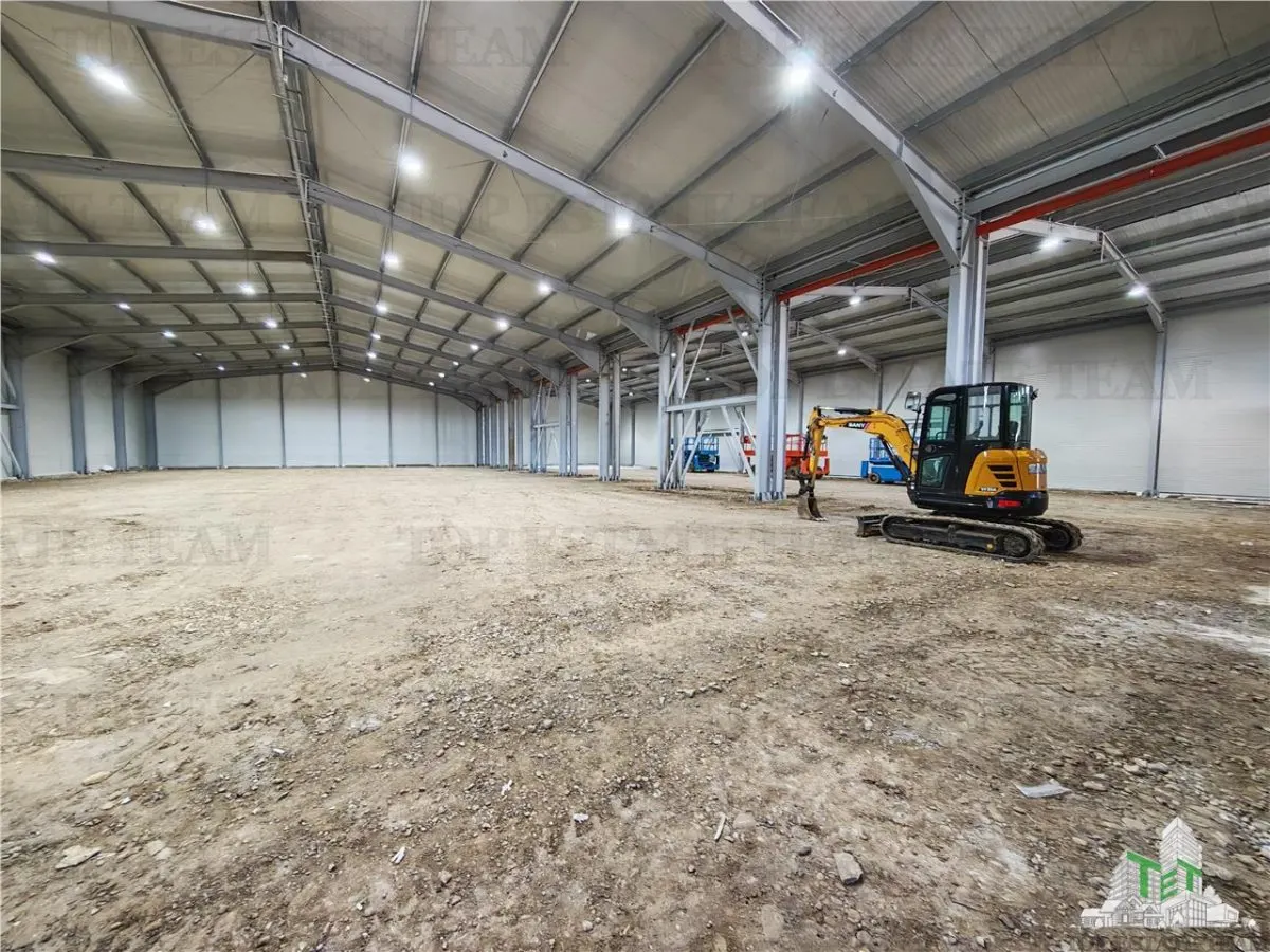 Industrial Warehouse Balotesti – Generous Space & Exceptional Access - foto 11