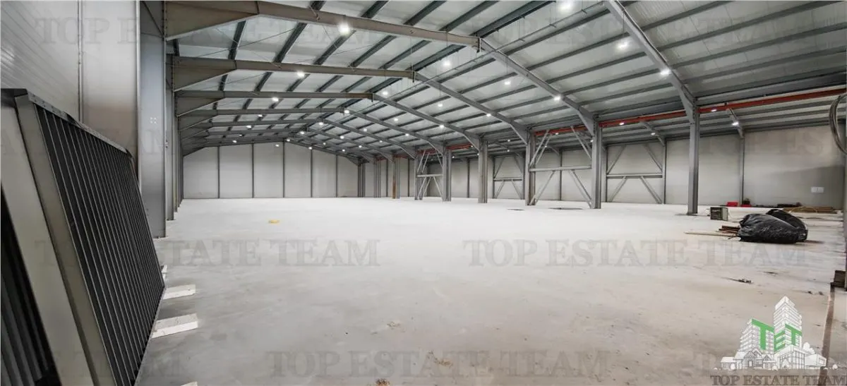 Industrial Warehouse Balotesti – Generous Space & Exceptional Access - foto 3