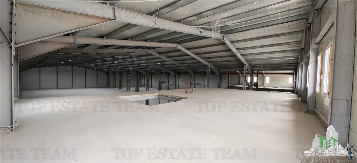 Industrial Warehouse Balotesti – Generous Space & Exceptional Access - foto 7