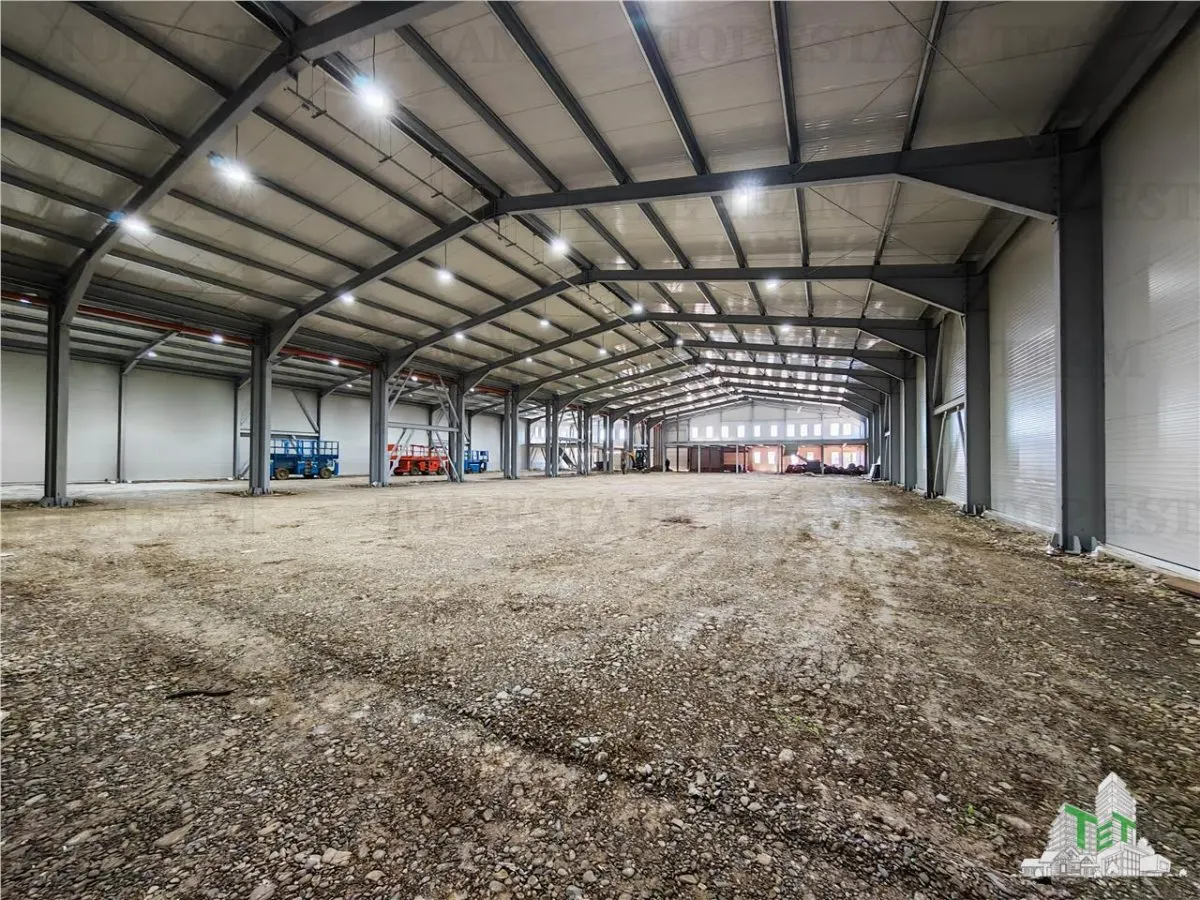 Industrial Warehouse Balotesti – Generous Space & Exceptional Access - foto 10