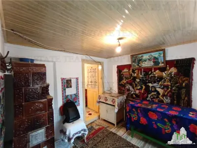 Traditional Farmhouse with Garden and Orchard 1700sqm in Gruiu, 10 min from DN1 - foto 15