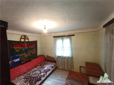 Traditional Farmhouse with Garden and Orchard 1700sqm in Gruiu, 10 min from DN1 - foto 16