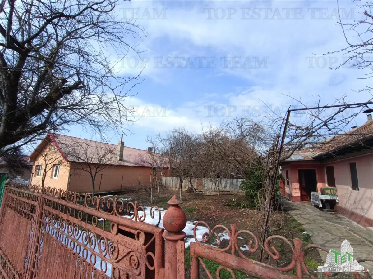Traditional Farmhouse with Garden and Orchard 1700sqm in Gruiu, 10 min from DN1 - foto 5