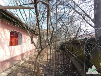 Traditional Farmhouse with Garden and Orchard 1700sqm in Gruiu, 10 min from DN1 - foto 6