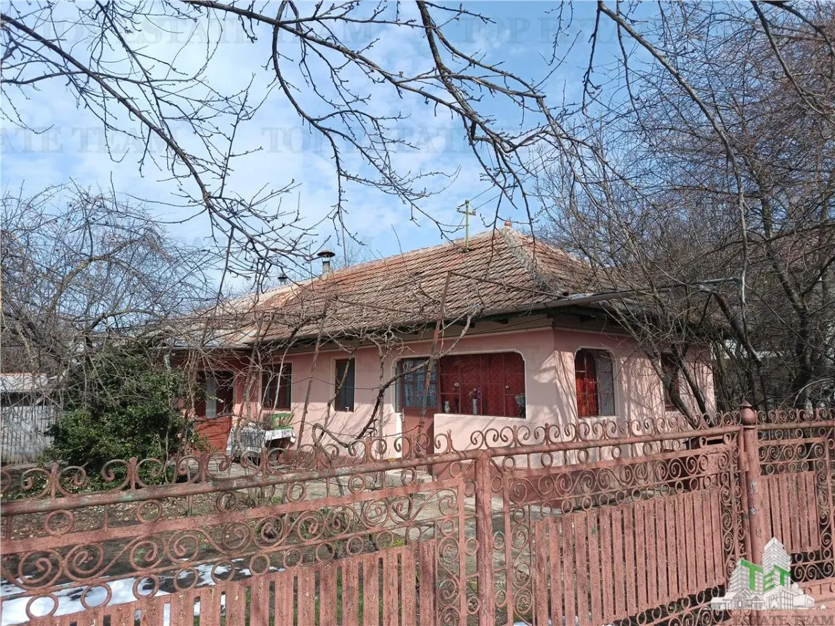 Traditional Farmhouse with Garden and Orchard 1700sqm in Gruiu, 10 min from DN1 - foto 7