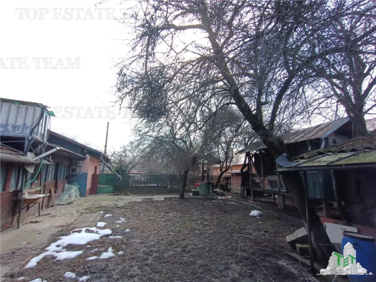 Traditional Farmhouse with Garden and Orchard 1700sqm in Gruiu, 10 min from DN1 - foto 8