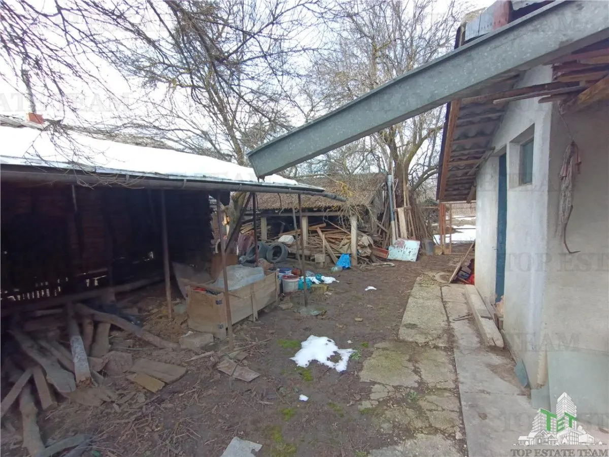 Traditional Farmhouse with Garden and Orchard 1700sqm in Gruiu, 10 min from DN1 - foto 9