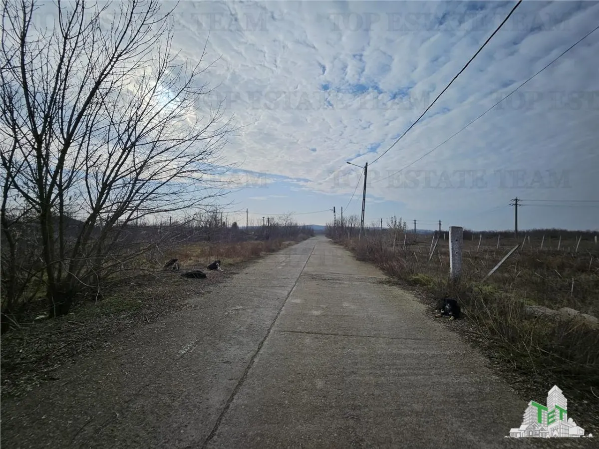Development Land with 150m Frontage on European Road, Harsova - foto 3