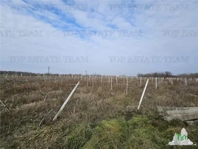 Development Land with 150m Frontage on European Road, Harsova - foto 4
