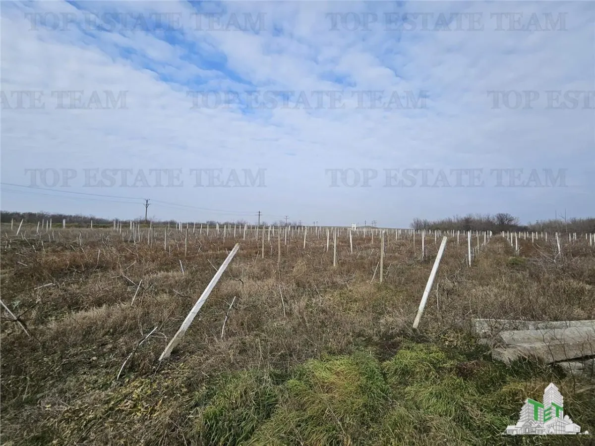 Development Land with 150m Frontage on European Road, Harsova - foto 4