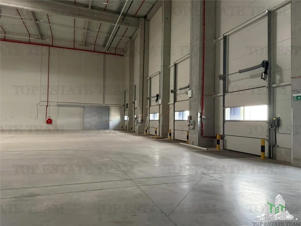 Grade A Industrial Warehouses to Let | Bucharest & Ilfov | 250–1,000 sqm Units - foto 3