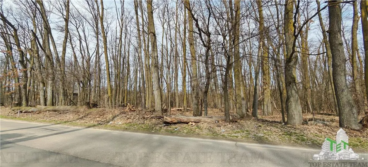 Terreno Premium / Bosque en Corbeanca - Calle Radarului - foto 2