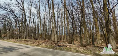 Terreno Premium / Bosque en Corbeanca - Calle Radarului - foto 3