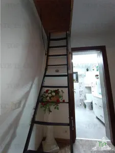 现代3卧室平房，距玛格雷莱3公里，距布加勒斯特仅10分钟 - foto 11
