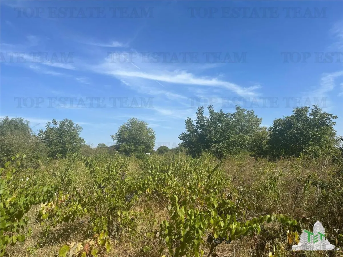 Terreno Edificable en Venta en Branesti, Ilfov – 2.040 m², Residencial o Inversión - foto 2