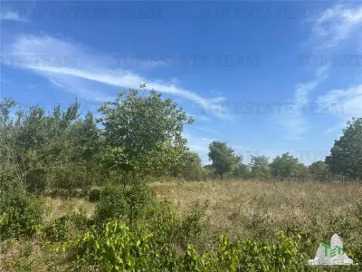 Terreno Edificable en Venta en Branesti, Ilfov – 2.040 m², Residencial o Inversión - foto 3