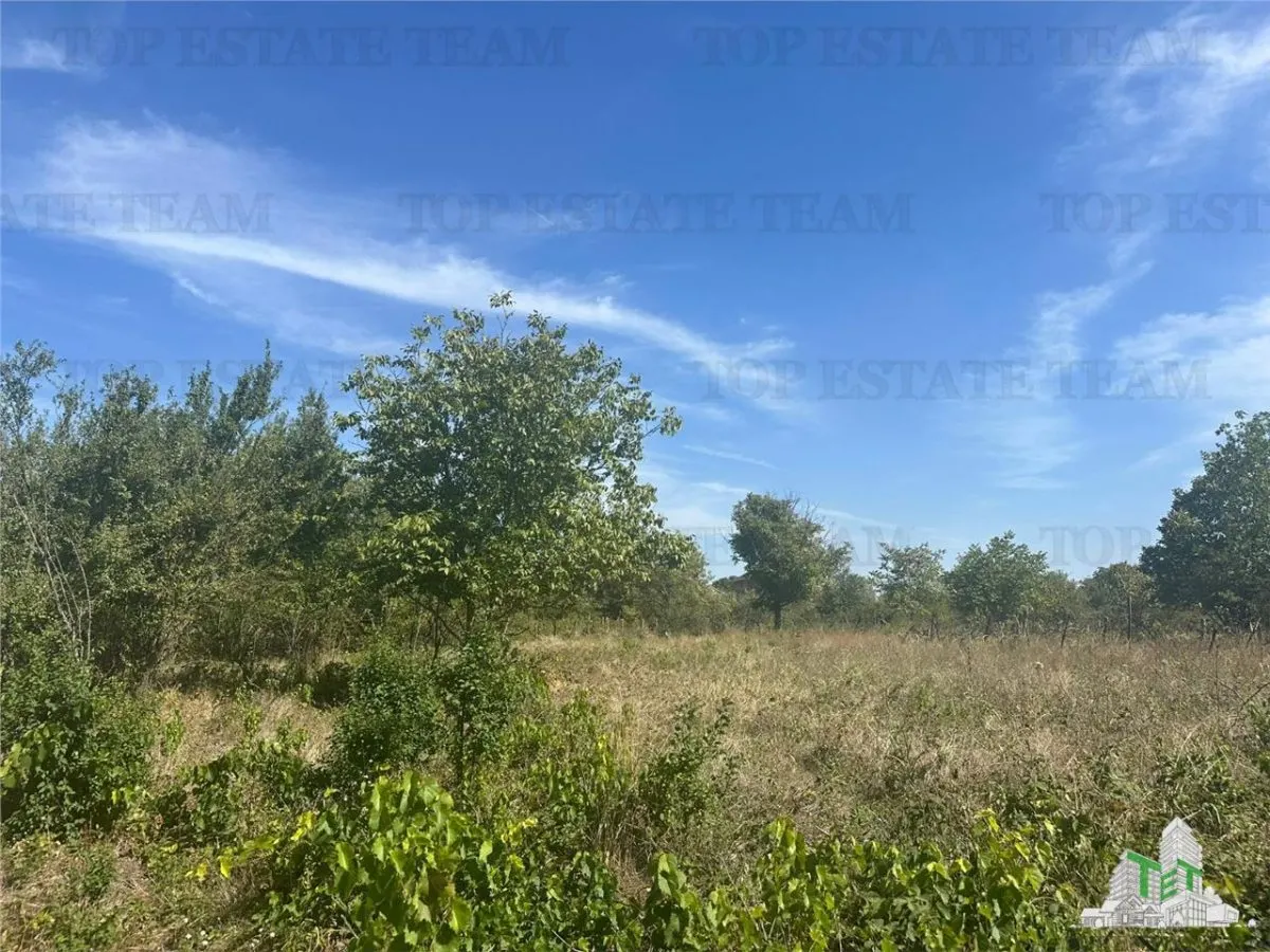 Terreno Edificable en Venta en Branesti, Ilfov – 2.040 m², Residencial o Inversión - foto 3