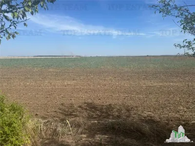 Buildable Plot for Sale in Brănești, Ilfov – 1,330 sqm, Residential - Branesti